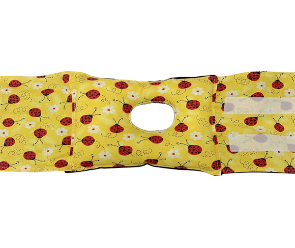 Ladybug G-Tube Tummy Time Pillow